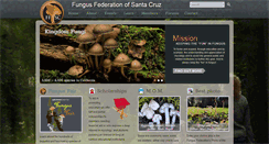 Desktop Screenshot of ffsc.us